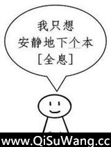 我只想安静地下个本[全息]小说