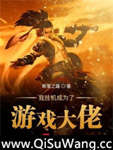 我挂机成为了游戏大佬小说