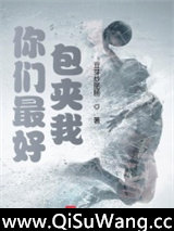 你们最好包夹我小说