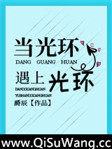 当光环遇上光环[网游]小说