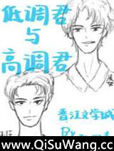 低调君与高调君小说