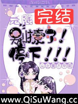 无限：别撩了！停下！小说