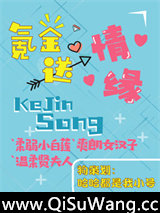 氪金送情缘小说