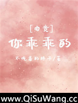 你乖乖的[电竞]小说