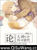 网配之论大神CP的可能性小说