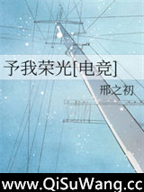 予我荣光[电竞]小说