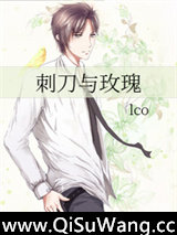 刺刀与玫瑰小说