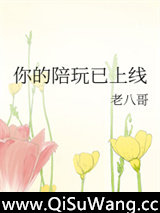 你的陪玩已上线小说