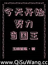 今天开始努力当国王小说