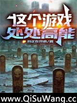 这个游戏处处高能小说