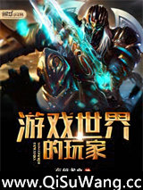 游戏世界的玩家小说