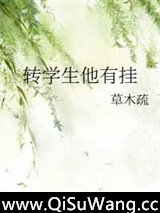 转学生他有挂小说