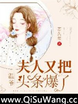 温爷，夫人又把头条爆了！小说