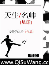 天生名帅[足球]小说