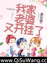 我家老婆又开挂了小说