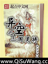 异空之三国灵将小说