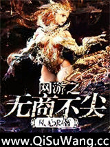 网游之无商不尖小说