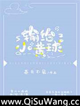 输给小黄球小说