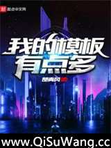我的模板有点多小说