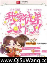 王者荣耀：我家徒弟又炸了！小说