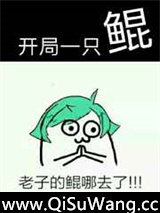 开局一只鲲小说