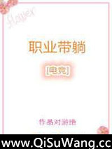 职业带躺[电竞]小说