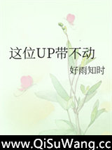 这位UP带不动小说