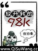 放开我的98K[绝地求生]小说