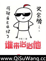 谁来治治他小说