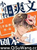 小可怜手握爽文剧本小说