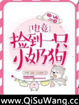 捡到一只小奶狗[电竞]小说