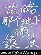 攻略那个地下城领主小说