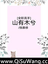 [全职高手]山有木兮小说
