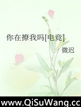 你在撩我吗[电竞]小说