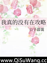 我真的没有在攻略小说
