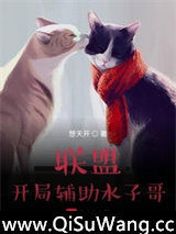 联盟：开局辅助水子哥小说