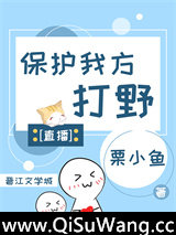 保护我方打野[直播]小说