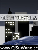 程序员的正常生活小说