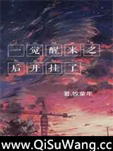 一觉醒来之后开挂了小说