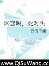 网恋吗，死对头小说