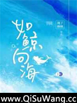 如鲸向海小说