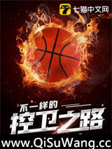 不一样的控卫之路小说