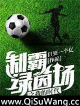 制霸绿茵场之我的时代小说