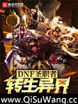 DNF圣职者转生异界小说