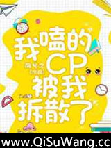 我嗑的CP被我拆散了小说