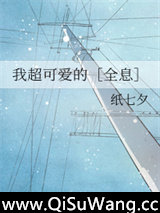 我超可爱的［全息］小说