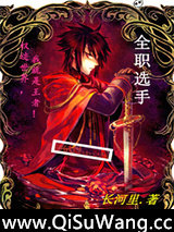 全职选手小说