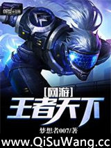 网游：王者天下小说