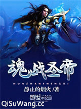 魂战圣帝小说