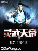 灵武天帝小说
